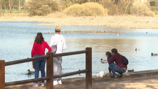 Los burgaleses hacen muchísima vida en el río REPOR